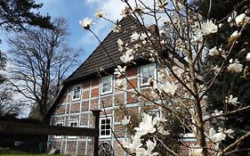 Schoenes Apartment Vor Den Toren Hamburgs - Keine Monteurwohnung