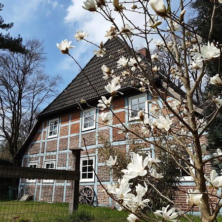 Schoenes Apartment Vor Den Toren Hamburgs - Keine Monteurwohnung Asendorf Buitenkant foto