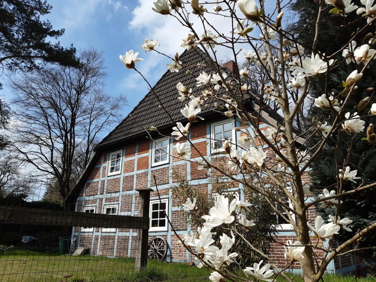 Schoenes Apartment Vor Den Toren Hamburgs - Keine Monteurwohnung Asendorf Buitenkant foto